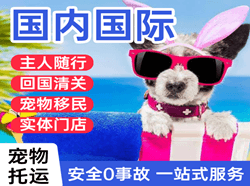 腾鳌机场快运国际宠物托运 【国
